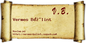 Vermes Bálint névjegykártya