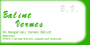 balint vermes business card